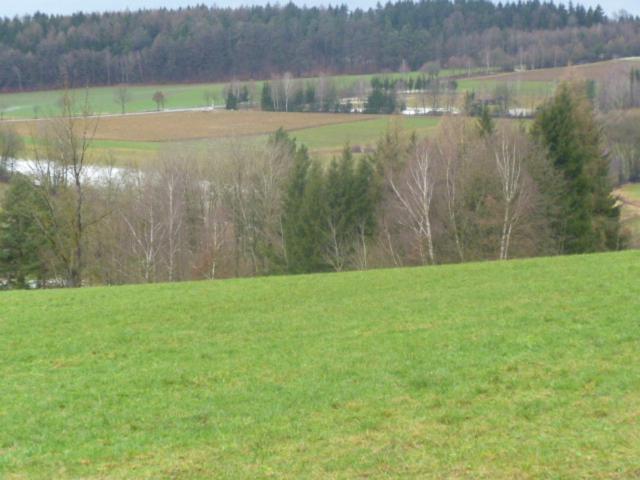 Blockhaus Mit Wlan Bayern Βίλα Stamsried Εξωτερικό φωτογραφία